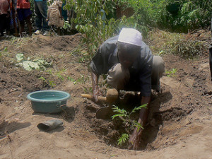 Woman planting a tree