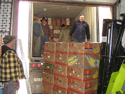 Bibles and Commentaries Prepared for Shipment