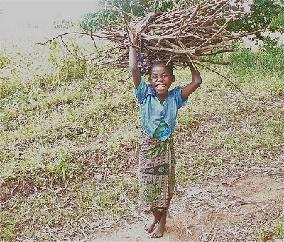 Girl Carries Firewood for cooking