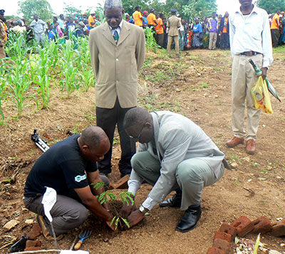 Staff Tree Planting