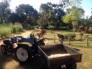 V-Tractor