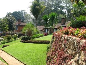 Homes in the Zomba community