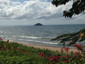 Lake Malawi with flowers and a beach in the foreground