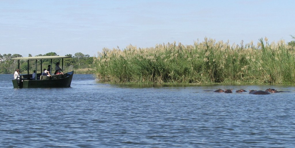 Hippo pod