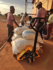 Workers moving maize