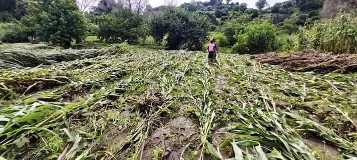 DOWA DISTRICT STORMS